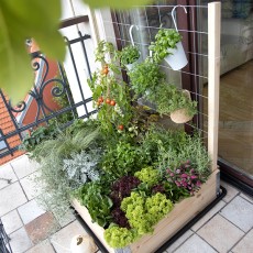 Крачета за решетка Upyard