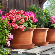 Саксия Gardenico, модел Campanula 40, кафява