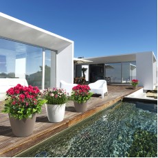 Саксия Gardenico тип кашпа, модел Ella matt Twist 30, тъмнокафява